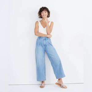Madewell Pleated Wide-Leg Jeans in Kinnon Wash